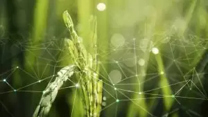 CRA e Fiagro – o avanço do agronegócio no mercado de capitais