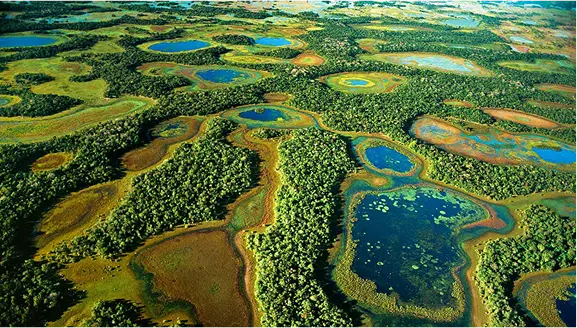 Pantanal aerial view