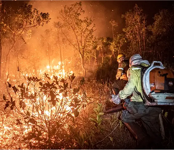 Wildfire 1