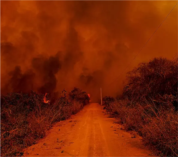 Wildfire 2