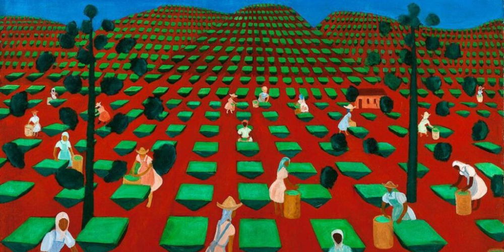 Djanira em exposição que marca reabertura do MAM Rio
