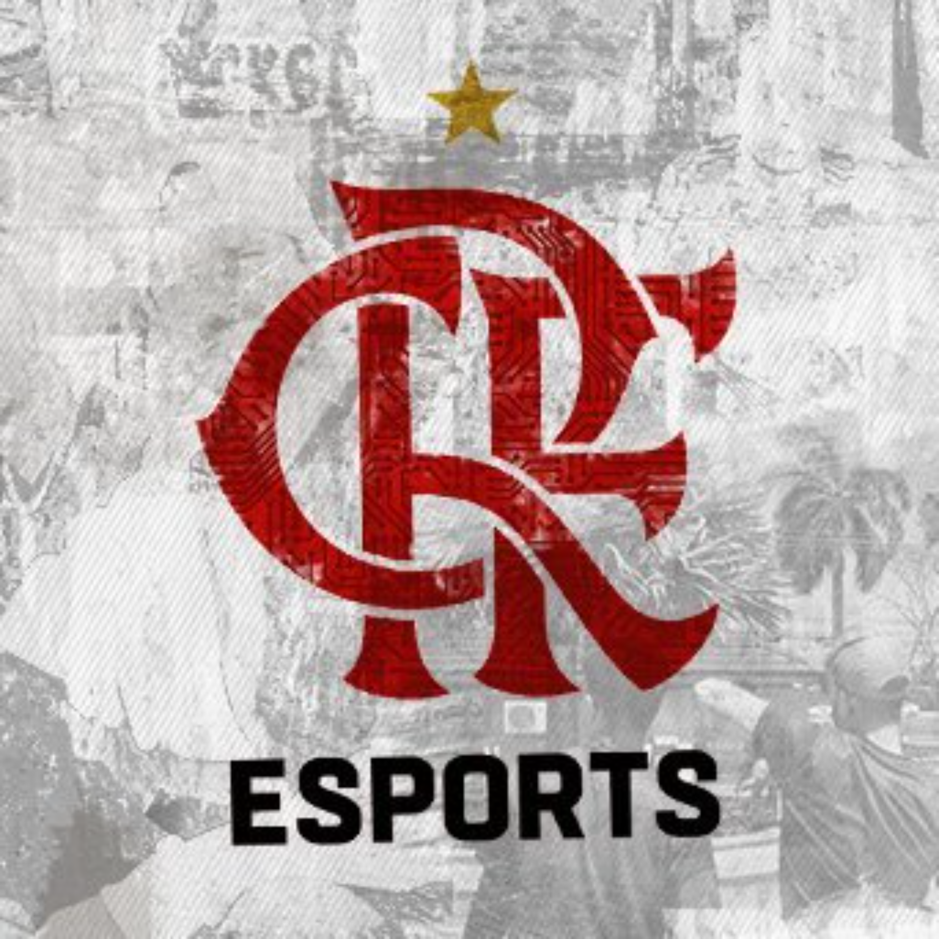 FLAMENGO ESPORTSS