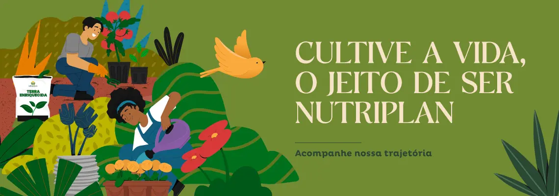 Imagem Responsiva