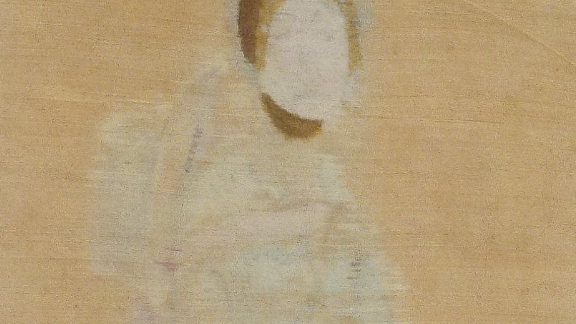 Exposição