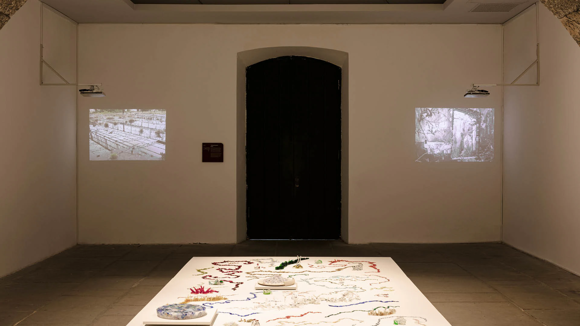 Exposição