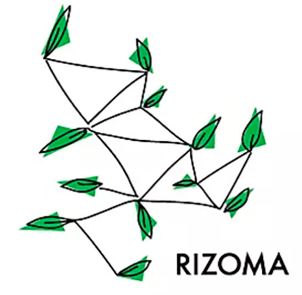 Projeto Rizoma